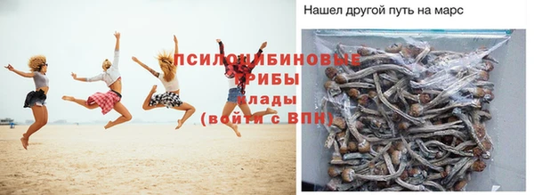 прущие грибы Видное