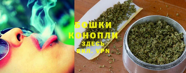 ГАЛЛЮЦИНОГЕННЫЕ ГРИБЫ Вуктыл