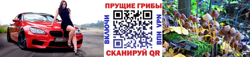 Купить  Зуевка  Псилоцибиновые грибы GOLDEN TEACHER 